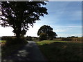 TL9225 : Foxes Lane, Aldham by Geographer