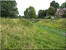 SU8695 : Hughenden Stream in Hughenden Park by Nigel Cox