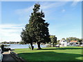 River Bure at Horning