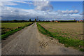 Field Road towards Crowle