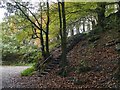 Leafy steps