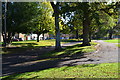 Trees and verges in Boulter Lane