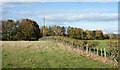 NZ1219 : Hedge and fence separating fields by Trevor Littlewood