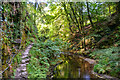 West Devon :  River Lyd