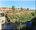 Salmons Brook