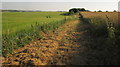 Bridleway, Bishopstone Down