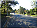 Bus stop on New Broad Lane (B6194)