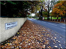 H4672 : Fallen leaves along Hospital Road, Omagh by Kenneth  Allen