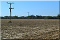 Stubble field beside Stem Lane