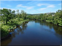 NS7994 : View upriver from Stirling Old Bridge by Lairich Rig