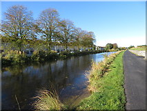 O1436 : View west on the Royal Canal, Dublin, near Lock No. 6 by Gareth James