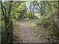 Public footpath west of Clay Cross (3)