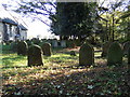TM4198 : All Saints Churchyard, Thurlton by Geographer