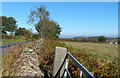 Dry stone wall and gate along Charley Road