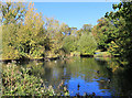 Lake in Pymmes Park