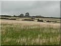 Moorland below Upper Knowl