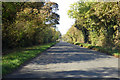 Road towards Charleton