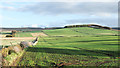 Field with emerging crop near Hatton of Ogilvie