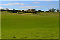 Dip in field north of Blagdon Farm