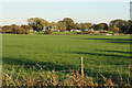 Field near Morley