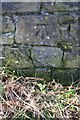 NX9720 : Benchmark on Parton Brow wall opposite Seven Acres entrance by Roger Templeman