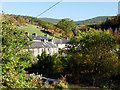 Houses in Upper Corris