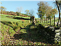 Old trackway above Upper Corris