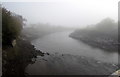 ST3490 : Foggy River Usk, Caerleon by Jaggery