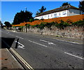 Row of houses above Bedminster Down Road, Bristol