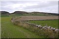 Under Buttergask Hill