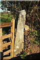 Gatepost near Easten Bowtan Farm