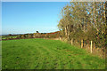 SX5071 : Cattle pasture, Easten Bowtan Farm by Derek Harper