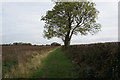 Bridleway towards Leconfield