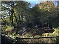 Pond at Hesworth Grange