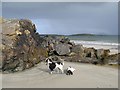 L6863 : Rock outcrops on Renvyle Beach by Jonathan Wilkins