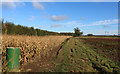 Countryside North of Grimston Park