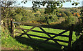 Gate above Milton Combe