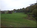 Grazing near the River Darwen, Feniscowles 