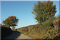 Lane near Haxter Lodge