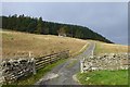 Track to Parmontley Cottage