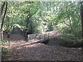 Footbridge in West Wood