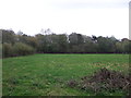 Grazing and woodland off  Longmeanygate