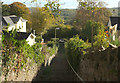 Footpath, Wolborough Hill