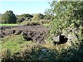 Brick culvert over a stream called Tinker Sink