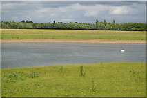 SP4908 : Port Meadow and River Thames by N Chadwick
