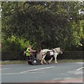 SJ9594 : Horse & cart on Dowson Road by Gerald England
