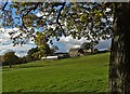 A view of Birley Grange Farm