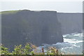 R0391 : Cliffs of Moher by N Chadwick
