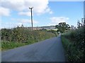 Road descending towards Grosmont Wood Farm