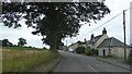 Roadside houses, Arnprior